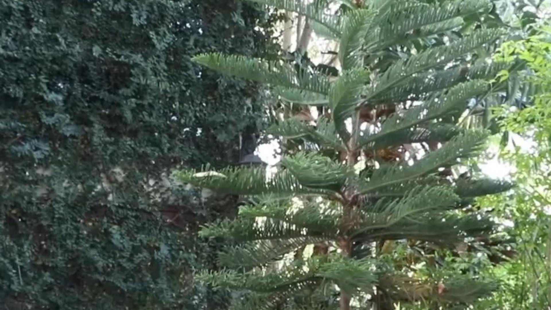 [ครบชุด] T0403137 คนไม ใช ทำอะไรก